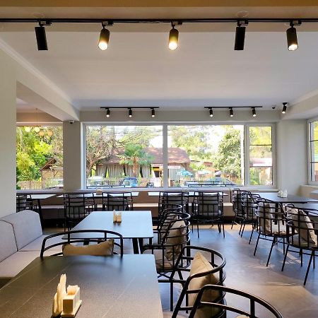 Hotel Citrus ガグラ エクステリア 写真